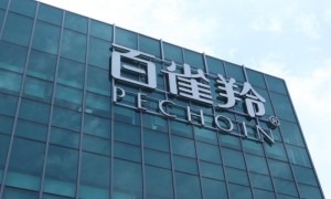 七年磨一剑，百雀羚杀入医美赛道！